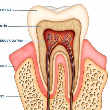 Ako pracujú strojčeky na zuby?