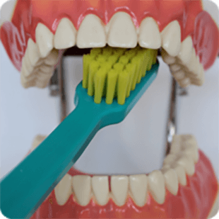 Inštruktáž čistenia zubov 10