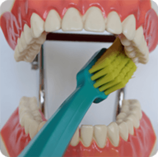 Inštruktáž čistenia zubov 11