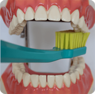 Inštruktáž čistenia zubov 12