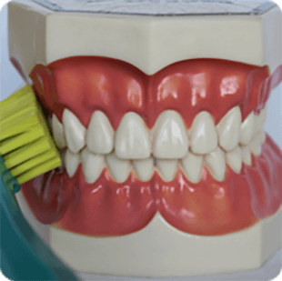 Inštruktáž čistenia zubov 5