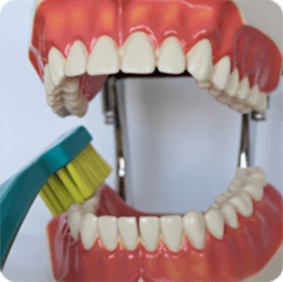 Inštruktáž čistenia zubov 8